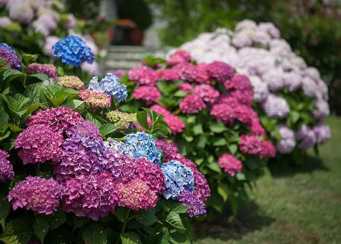 Adis Oneirou Mourésion